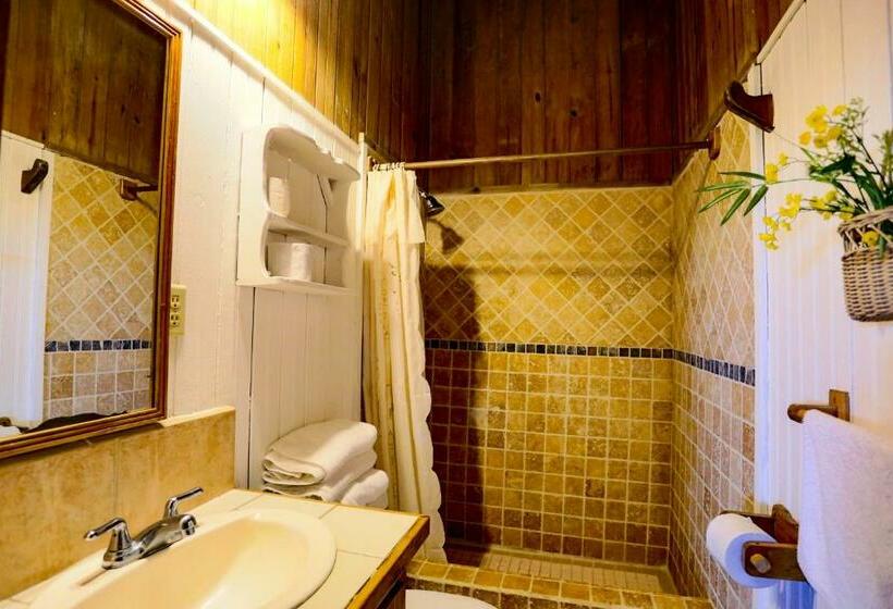 اتاق خانوادگی, Arco Iris Sa