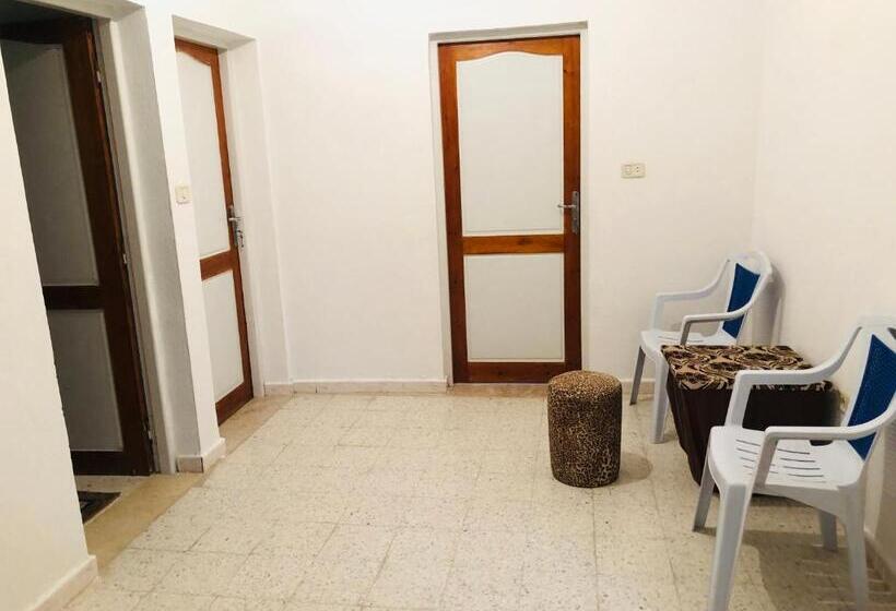 Студия Стандарт, Auberge Alferdaous
