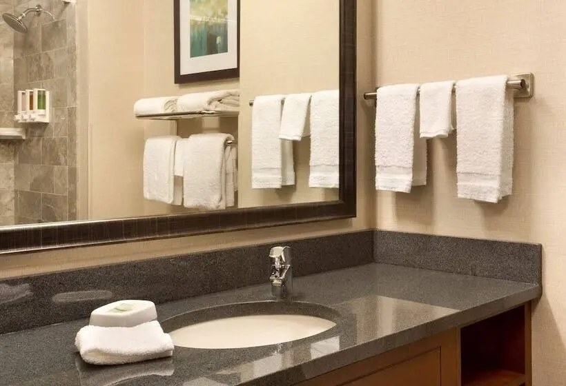 障害者適応デラックスルーム, Drury Inn & Suites St. Louis Brentwood