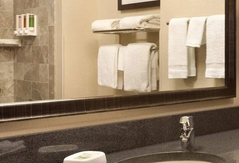 障害者適応デラックスルーム, Drury Inn & Suites St. Louis Brentwood