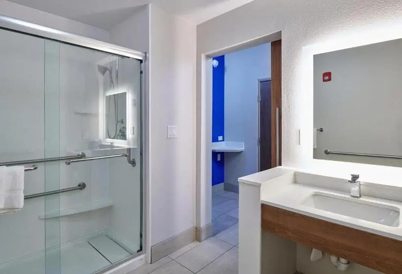 身障者適用キングサイズベッドルーム, Holiday Inn Express   El Paso   Sunland Park Area, An Ihg