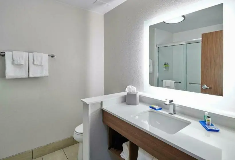 身障者適用キングサイズベッドルーム, Holiday Inn Express   El Paso   Sunland Park Area, An Ihg