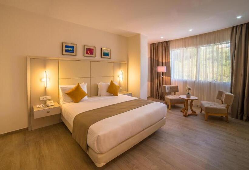 سوئیت با تخت بزرگ, Sidi Yahia