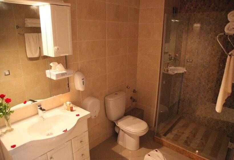 اتاق استاندارد, Zain