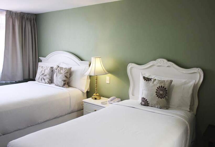 3 Bett Deluxe Zimmer, Entre Patios Hotel Boutique