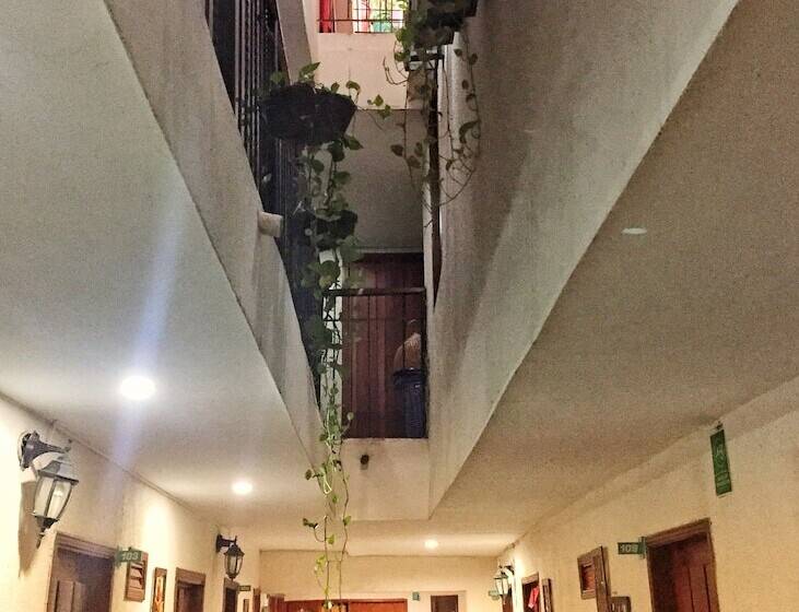 ファミリールーム, Bacano Hostel