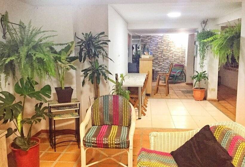 اتاق خانوادگی, Bacano Hostel