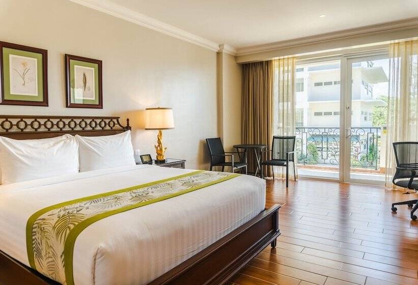 اتاق پرمیوم, The Auhana