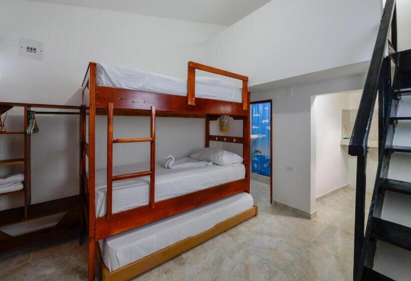 Студия Стандарт, Posada Amaripucci