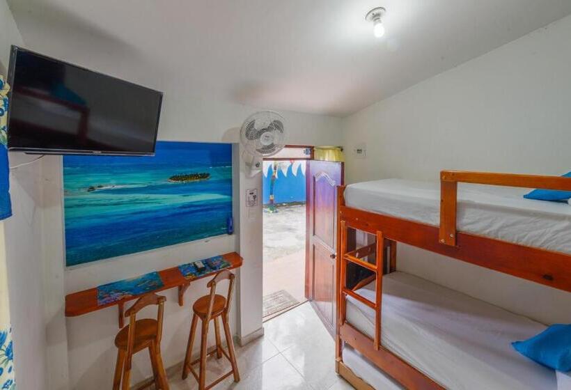 Студия Стандарт, Posada Amaripucci