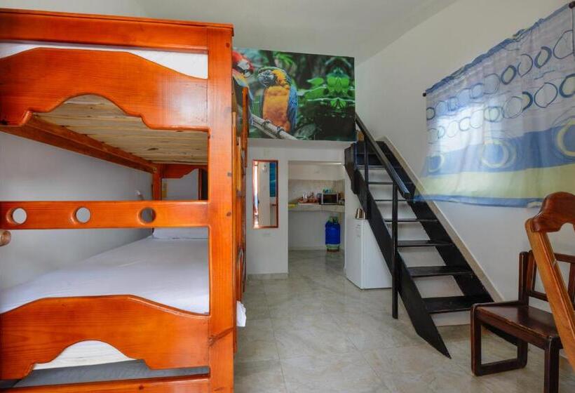 Студия Стандарт, Posada Amaripucci