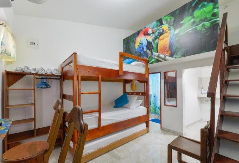 Студия Стандарт, Posada Amaripucci