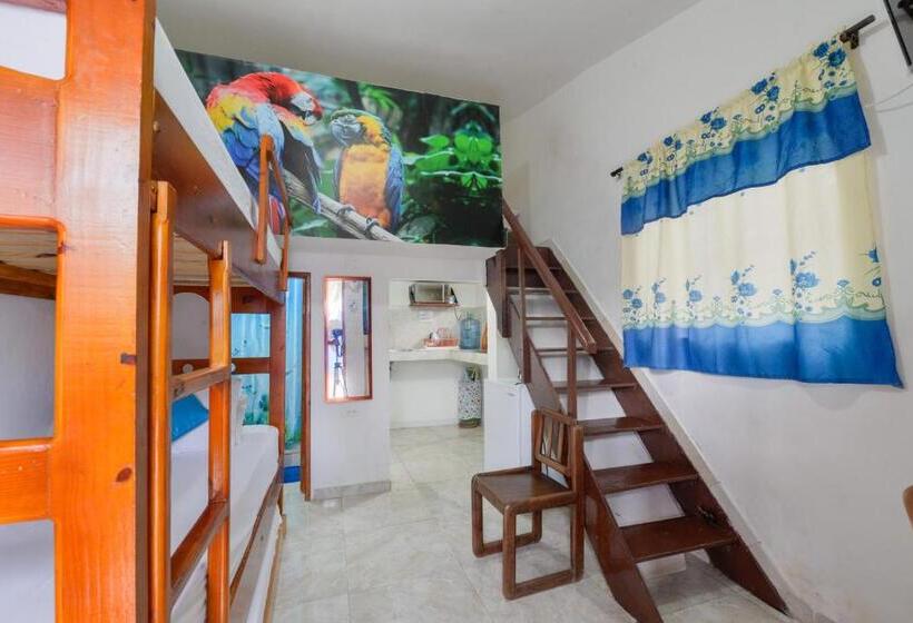 Студия Стандарт, Posada Amaripucci