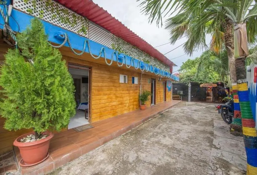 آپارتمان 1 خوابه, Posada Amaripucci