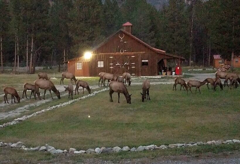 كابينة, The Wild Game Inn