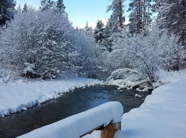 غرفة كومفورت فردية, The Wild Game Inn