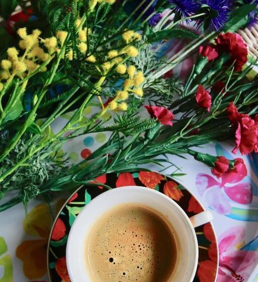 غرفة ديلوكس, Villa Talisman