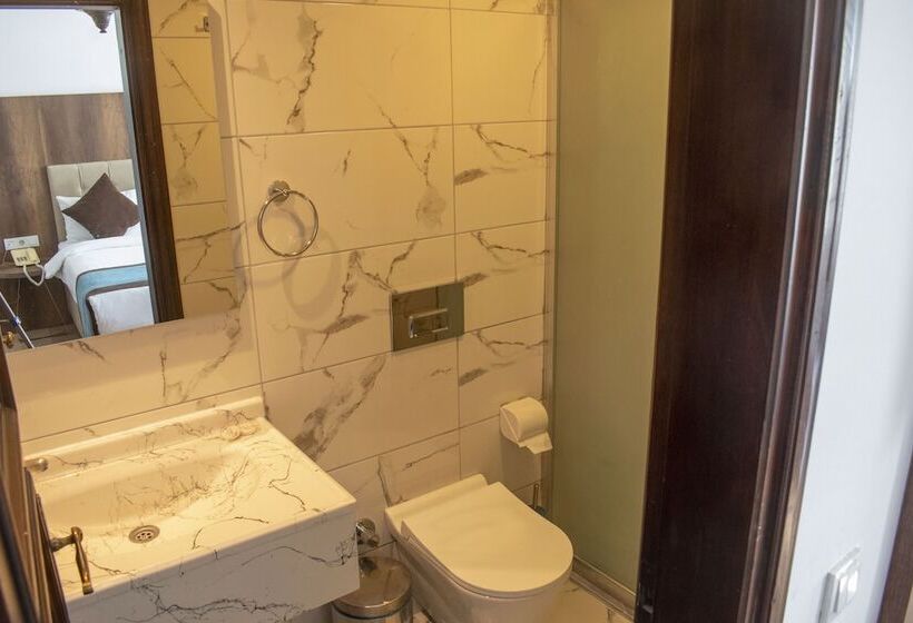 Camera Standard, Dinc Pension