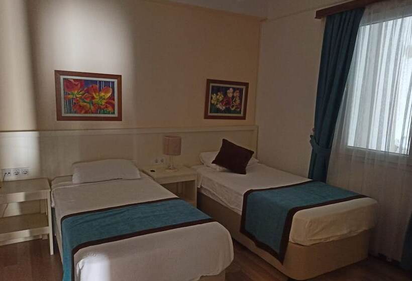 Camera Tripla Economy, Dinc Pension