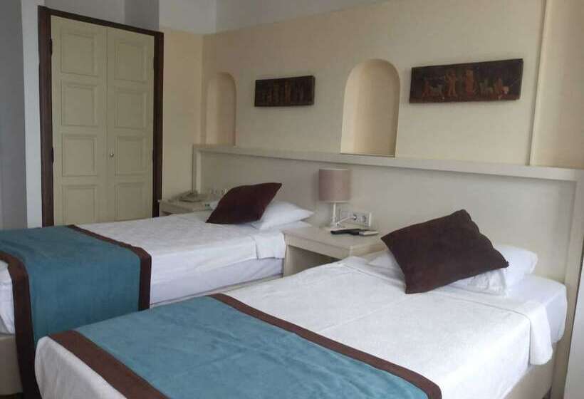 Camera Tripla Economy, Dinc Pension