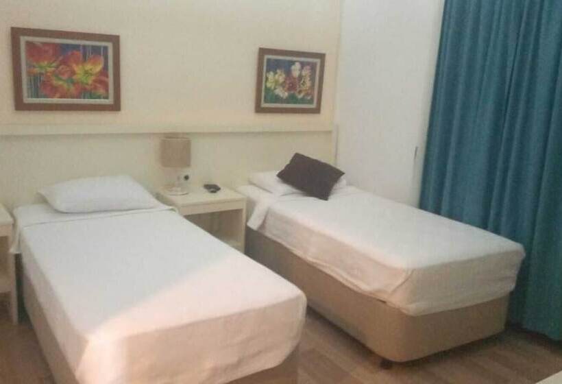 Camera Tripla Economy, Dinc Pension