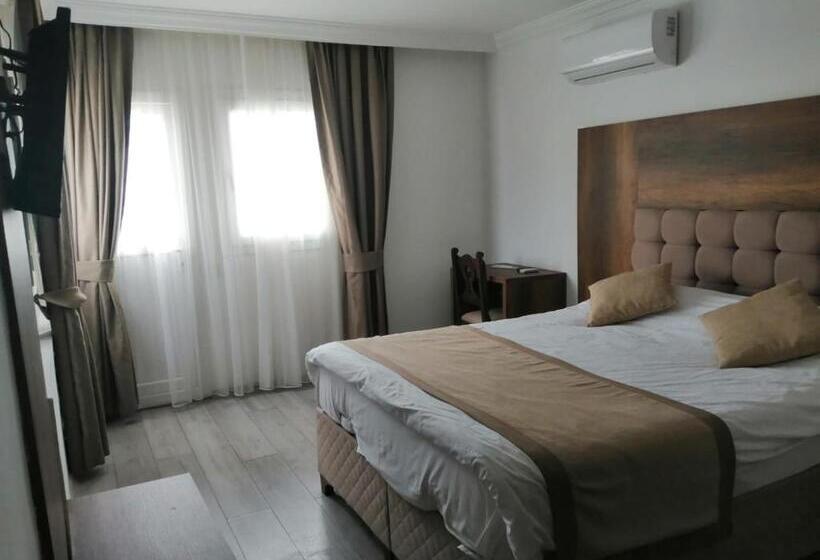 Camera Standard, Dinc Pension