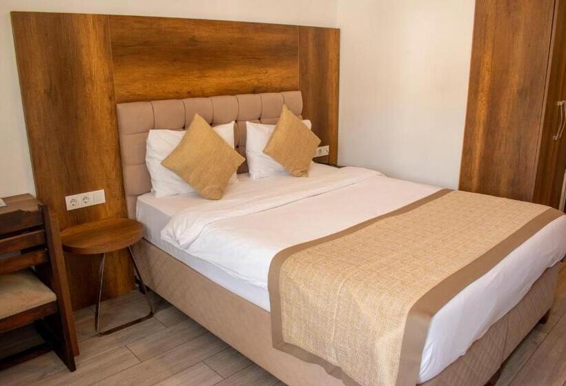 Camera Standard, Dinc Pension