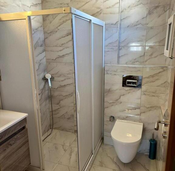 Camera Standard, Dinc Pension