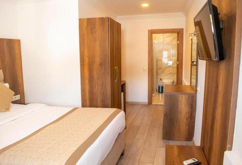 Camera Standard, Dinc Pension