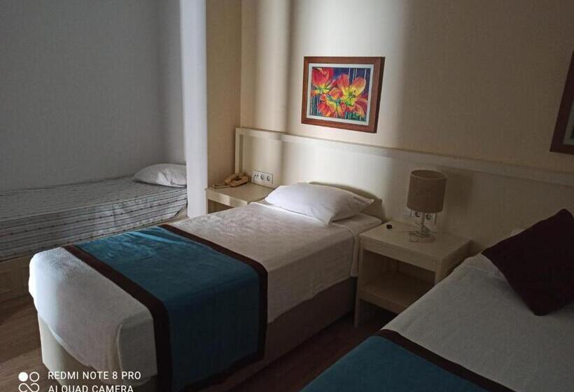 Camera Tripla Economy, Dinc Pension