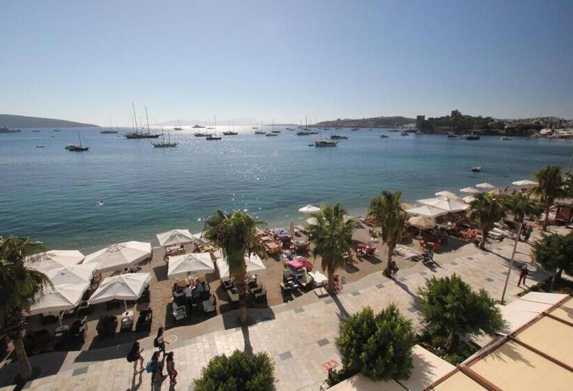 Camera Standard Vista Mare con Balcone, Dinc Pension