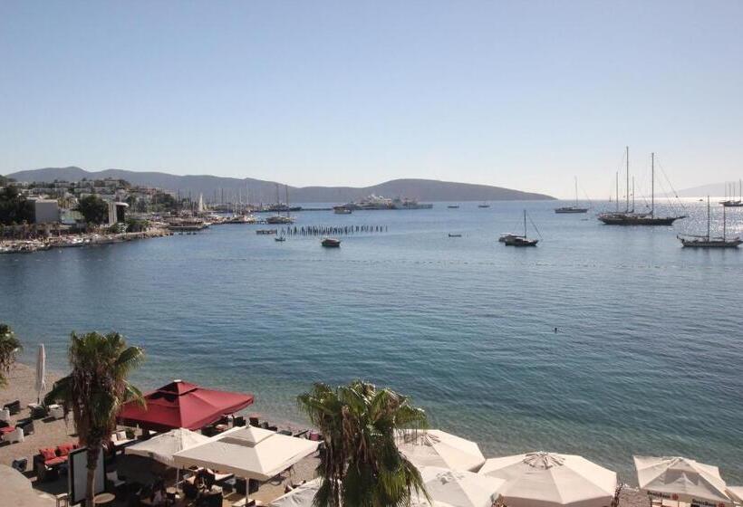 Camera Standard Vista Mare con Balcone, Dinc Pension