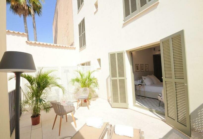 标准间带露台, Basilica