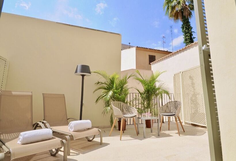 标准间带露台, Basilica