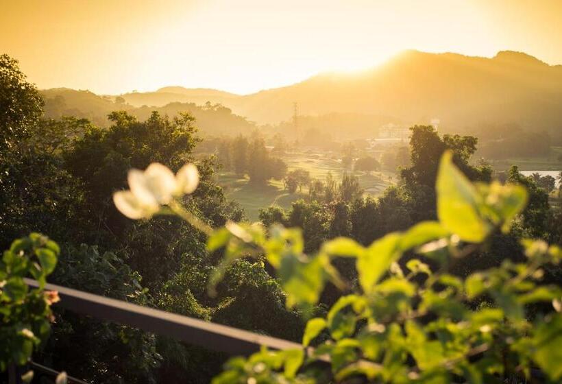 デラックスルーム, Studio Apartments On A Hill