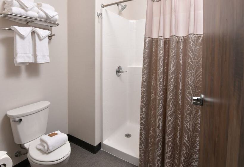 غرفة سوبيريور, Stoney Creek Hotel Tulsa   Broken Arrow