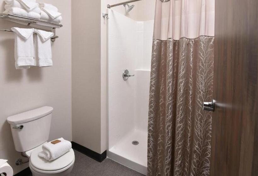 스탠다드 스튜디오 킹침대, Stoney Creek Hotel Tulsa   Broken Arrow