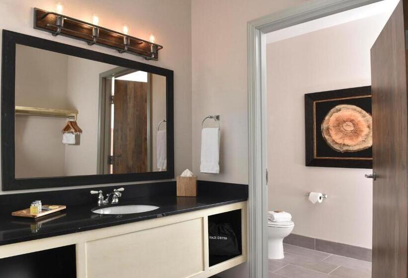 جناح مزود بجاكوزى, Stoney Creek Hotel Tulsa   Broken Arrow