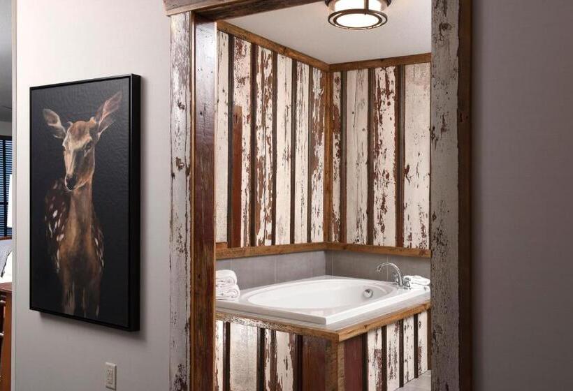 جناح جونيور, Stoney Creek Hotel Tulsa   Broken Arrow