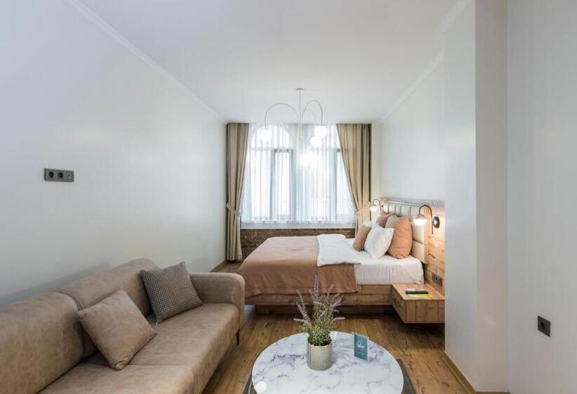 آپارتمان 2 خوابه, The Wilson Galata