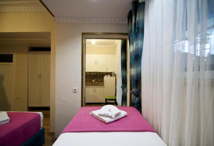 キングサイズベッドのスタンダードルーム, Paris Garden Hotel Istanbul