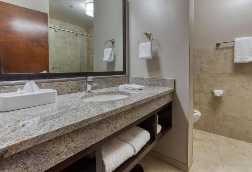 디럭스 스위트 킹 침대, Drury Inn & Suites Huntsville Space & Rocket Center