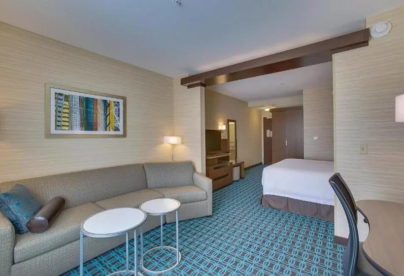 سوئیت با تخت بزرگ, Fairfield Inn & Suites By Marriott Wichita East