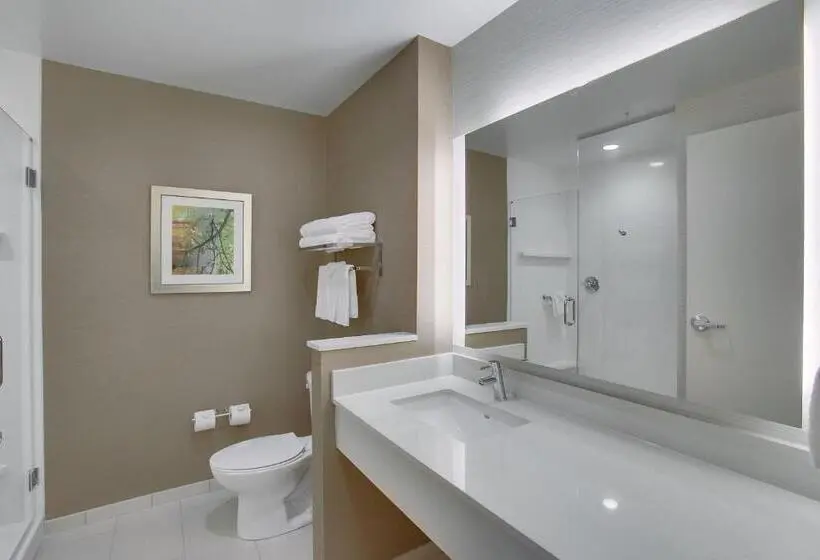 اتاق استاندارد با تخت بزرگ, Fairfield Inn & Suites By Marriott Wichita East