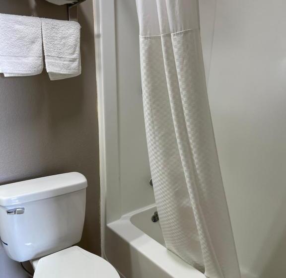 غرفه قياسيه سريرين مزدوجين, Royal Motel