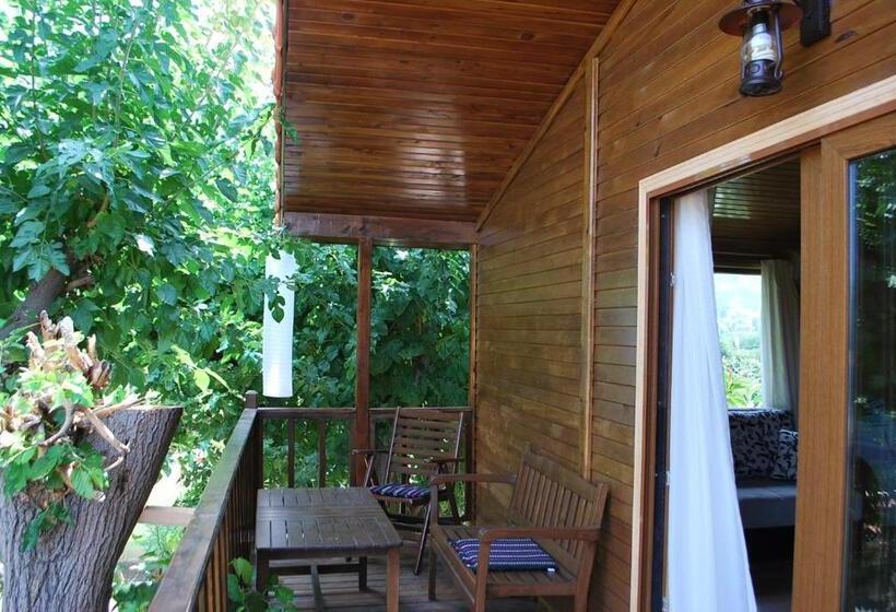Студия Стандарт, Sunset Boutique Hotel & Apartments