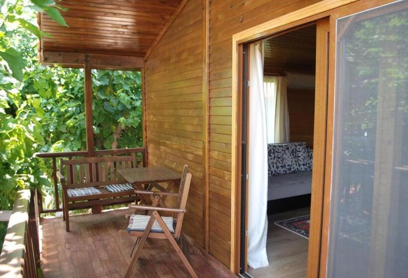 استودیوی استاندارد, Sunset Boutique Hotel & Apartments