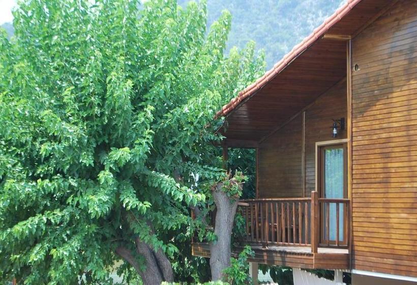 استودیوی استاندارد, Sunset Boutique Hotel & Apartments