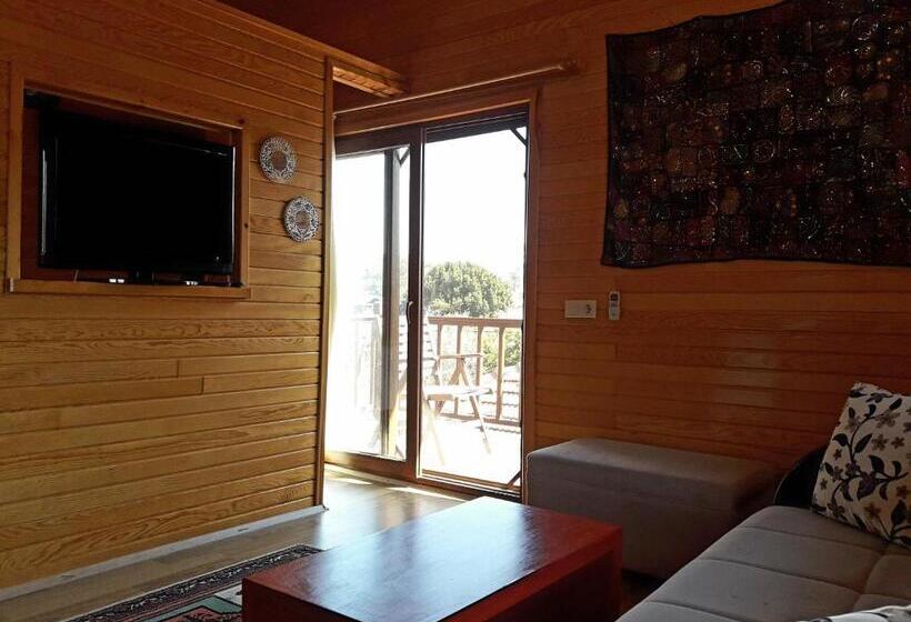 استودیوی استاندارد, Sunset Boutique Hotel & Apartments