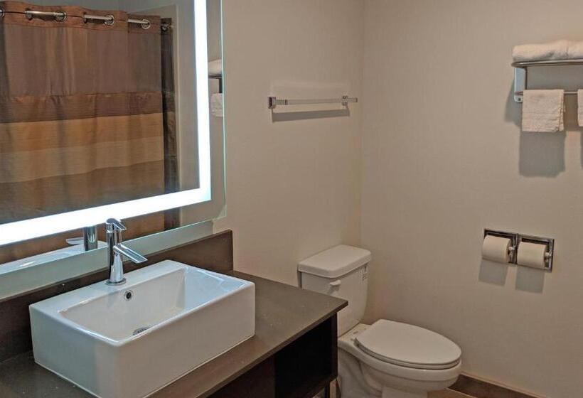 Одноместный Номер Стандарт Адаптированный для Инвалидов, Epic